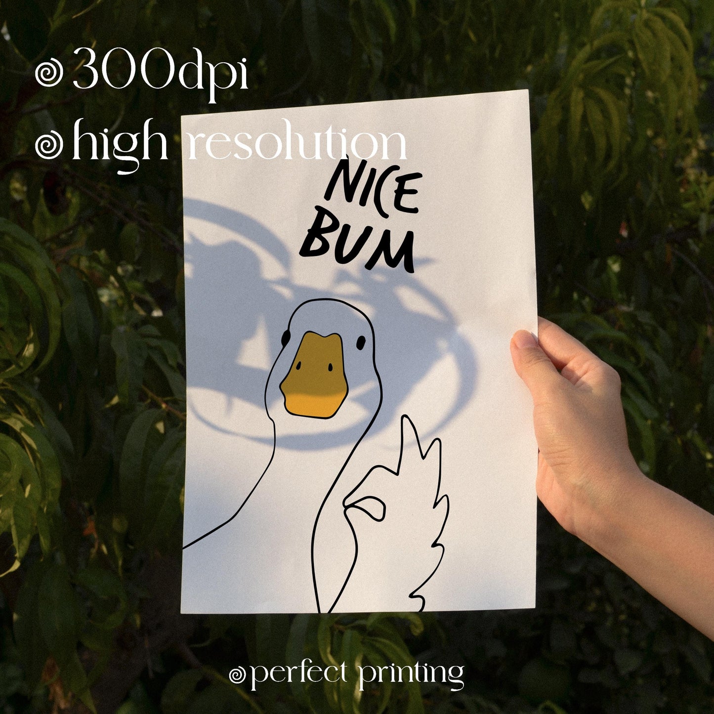 Funny Duck "Nice Bum" Bathroom Print (Digital Download)